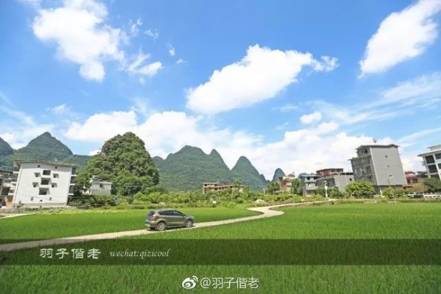 不再关心不再过问,不再过问身后事