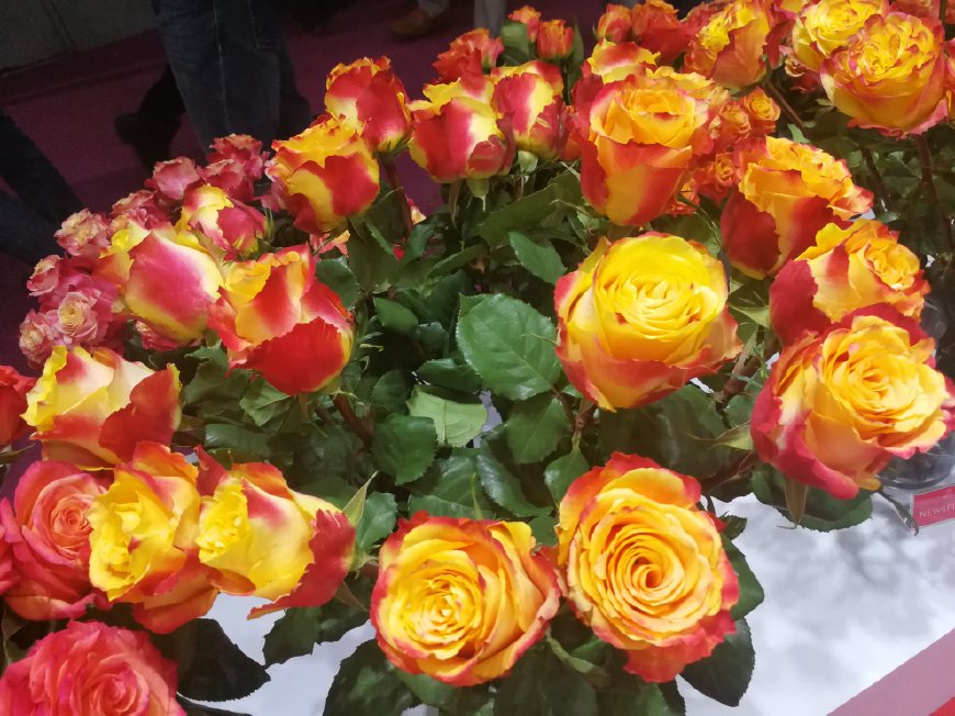 价格战是不是利润太高了,价格战的后果图片