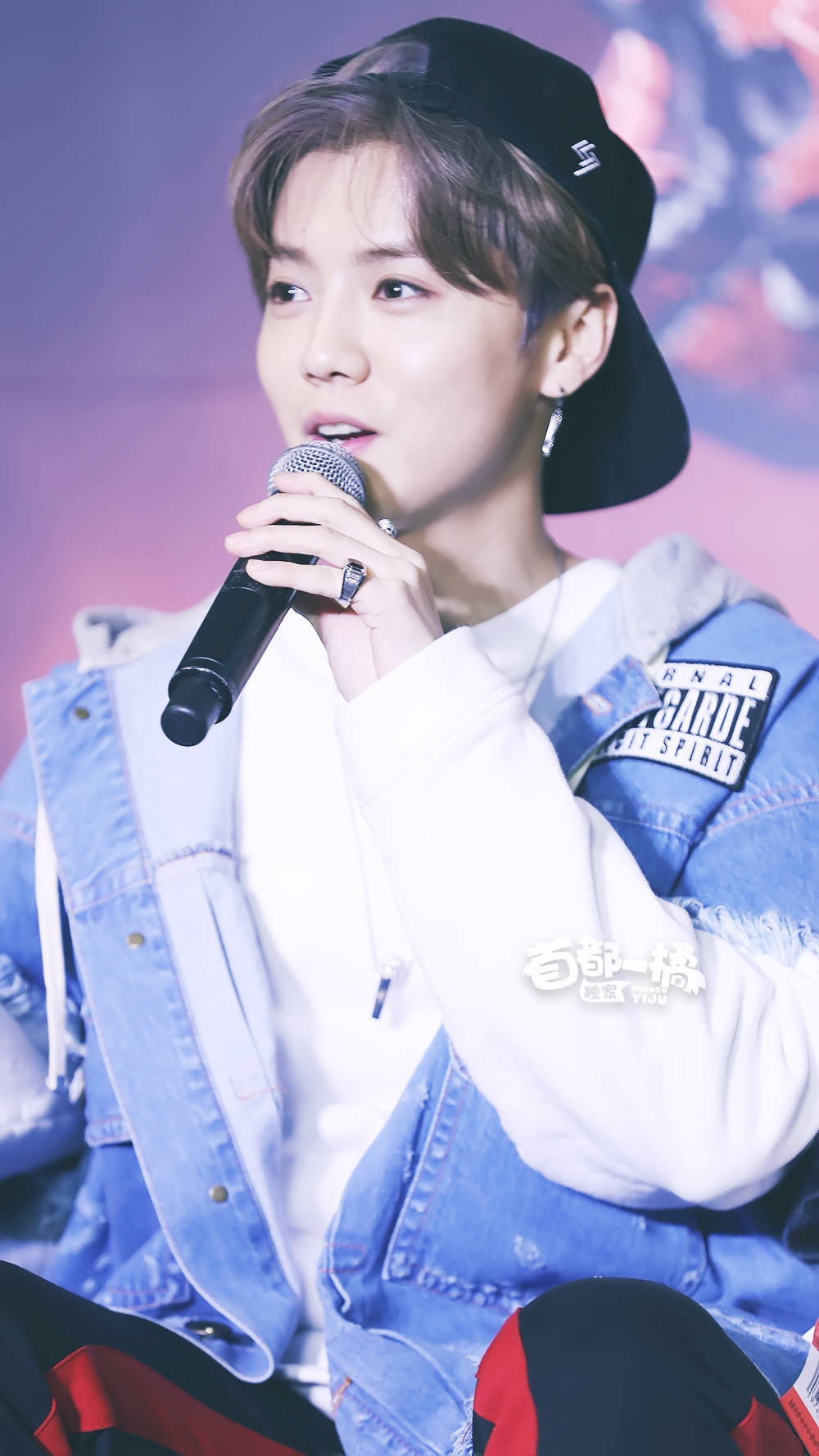 鹿晗手机壁纸樱花鹿,鹿晗壁纸手机超清全面屏