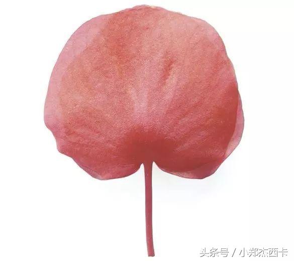 别再Zara了，西班牙王后亲自带你买买买！