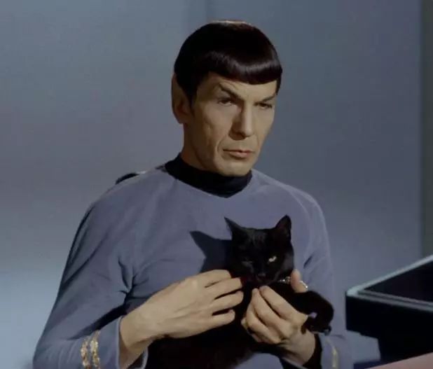 为什么它是有史以来最伟大的神剧