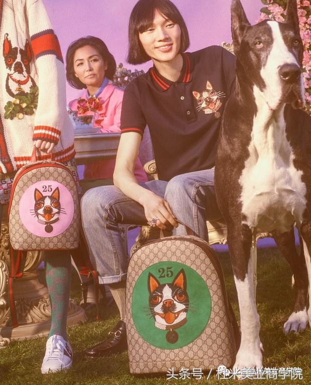 狗年财运最好的地方,狗年发财什么意思