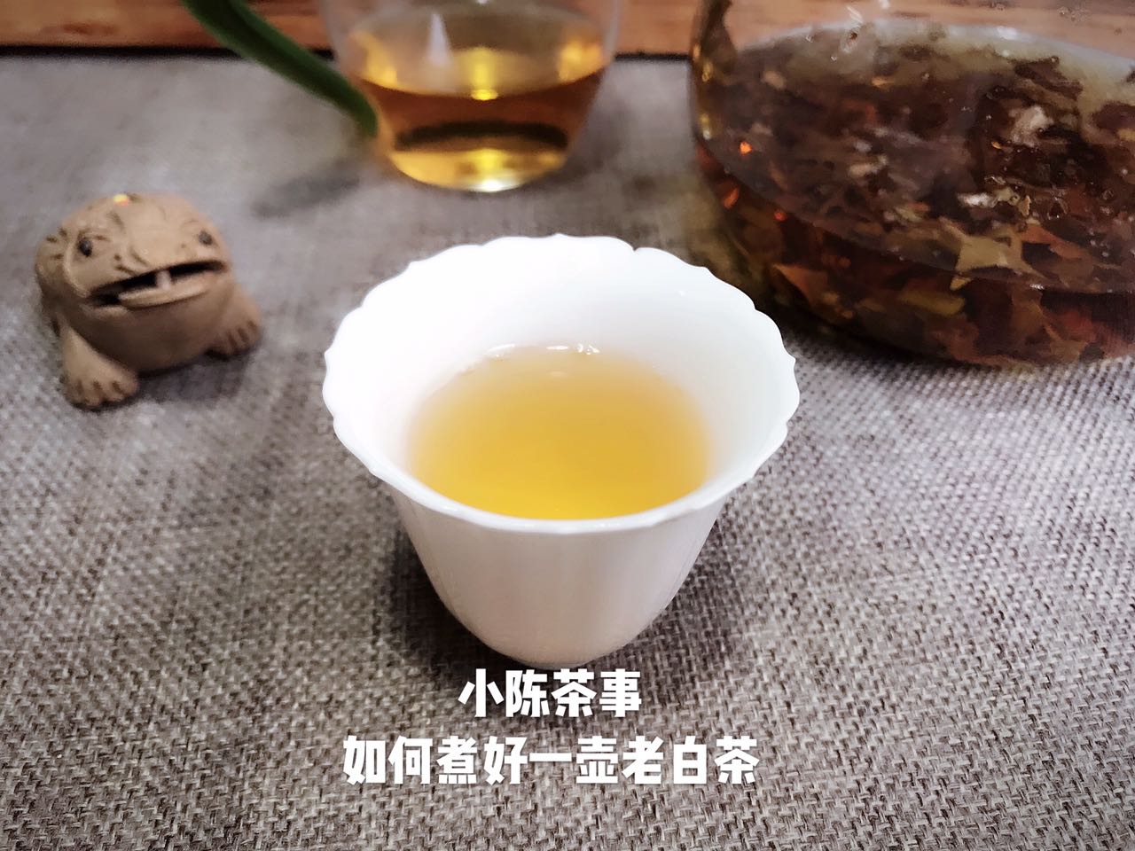 煮壶老白茶的正确方法,老白茶适合什么壶煮