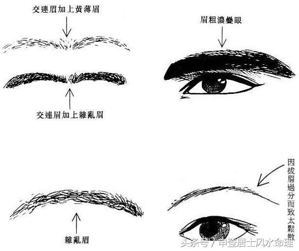 会化妆的女人真幸福,会化妆人的眉毛