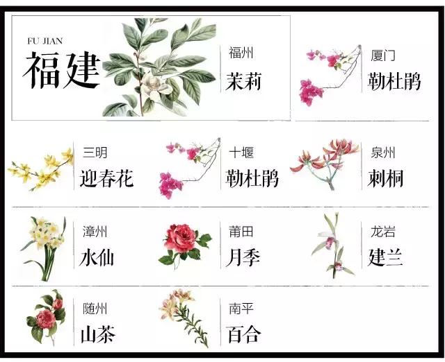 盘点史上最全中国各城市市花,中国各大城市的市花分别是什么