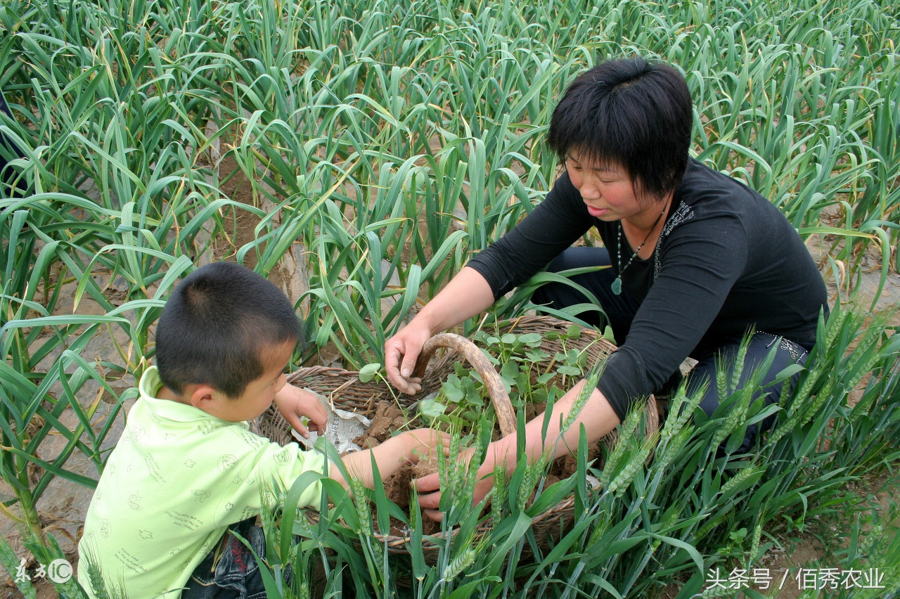 外出打工每天260元,农村人每天打工赚钱