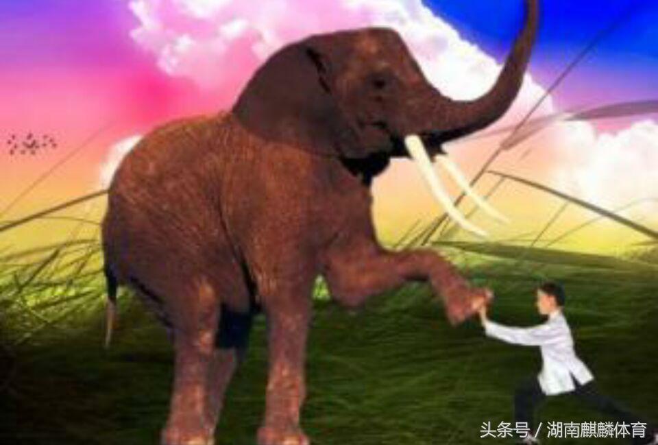 衡阳市副会长伍明,衡阳市武术协会会长是谁