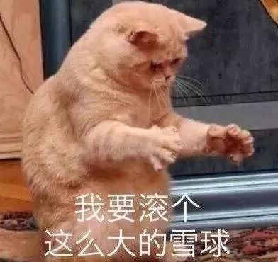 暴雪期间蔬菜价格预测,暴雪黄色预警有多大