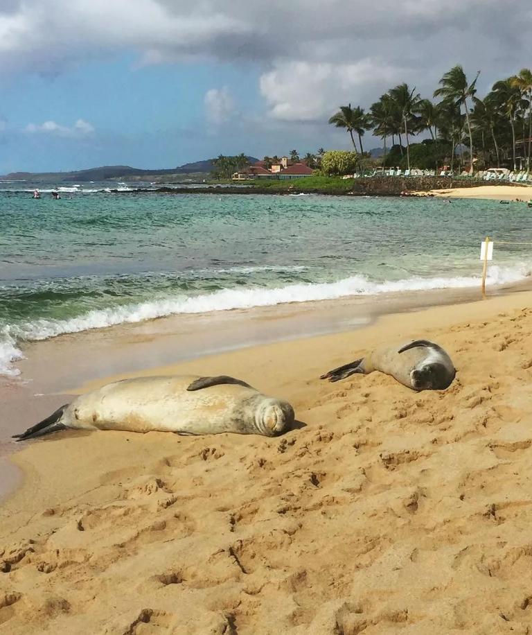 侏罗纪公园取景地有哪些,侏罗纪公园拍摄地