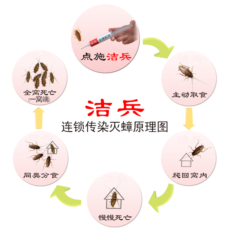 蟑螂药灭蟑螂排行前十,蟑螂药哪种效果最好用