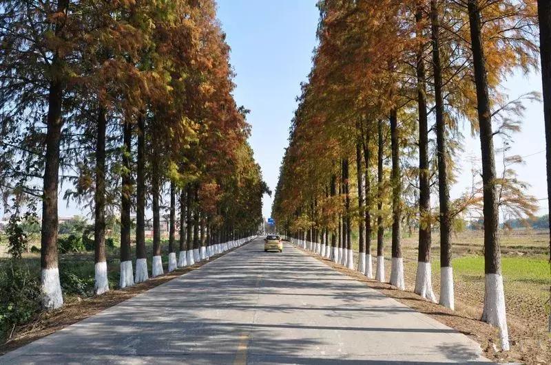 写在广东风度九龄诗歌周｜扬九龄诗风享诗歌盛宴