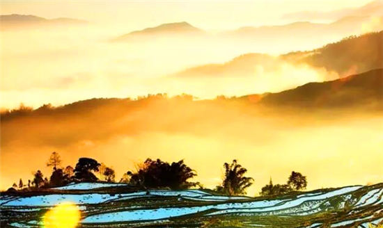 落地自驾云贵黄果树瀑布罗平油菜花元阳梯田西双版纳11日游