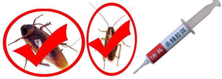 蟑螂药灭蟑螂排行前十,蟑螂药哪种效果最好用