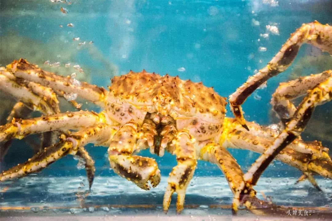 娉夊窞甯傚尯鍝簺姣旇緝濂界殑娴烽矞閰掓ゼ,娉夊窞娴烽矞缇庨鎺掕姒滃墠鍗佸悕