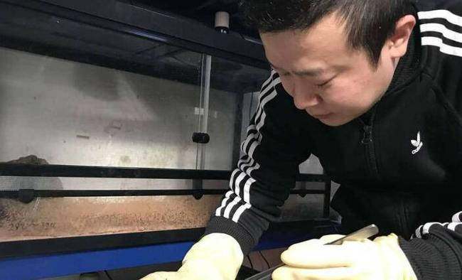 十年花近百万养蛙这才是真的爱蛙如子呀