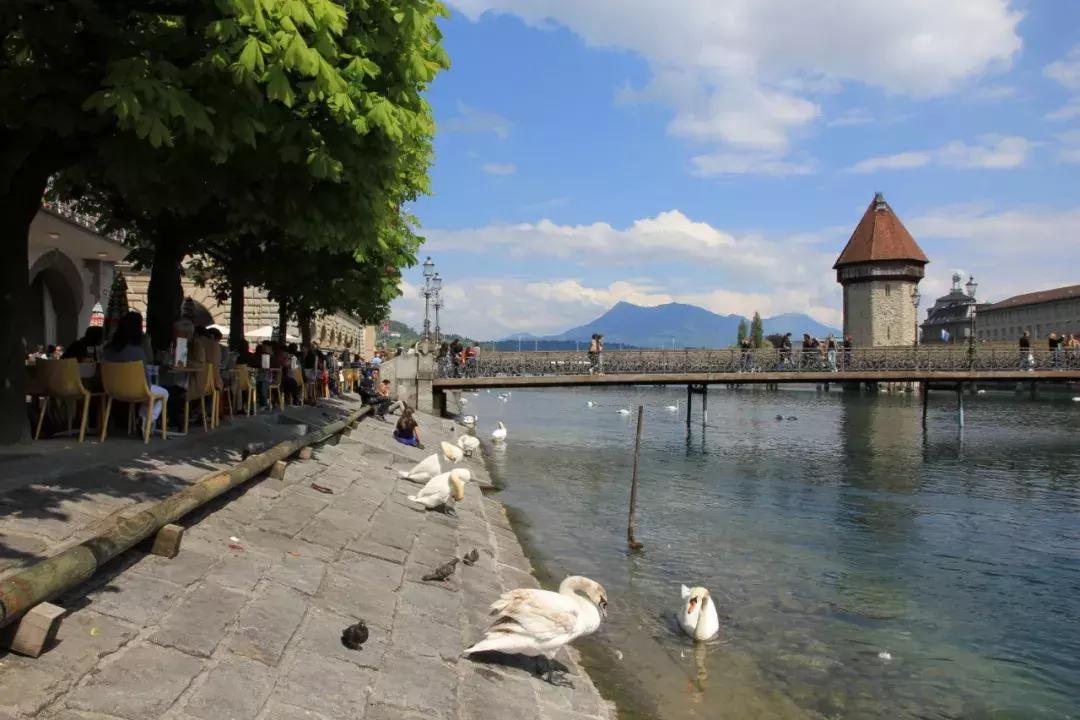 2009年琉森音乐节,藤田真央琉森音乐节