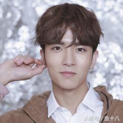 流星花园柴智屏选角说看颜值,流星花园日剧2