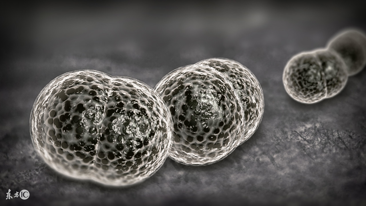 结核脑膜炎老是发烧怎么办,脑膜炎低热症状