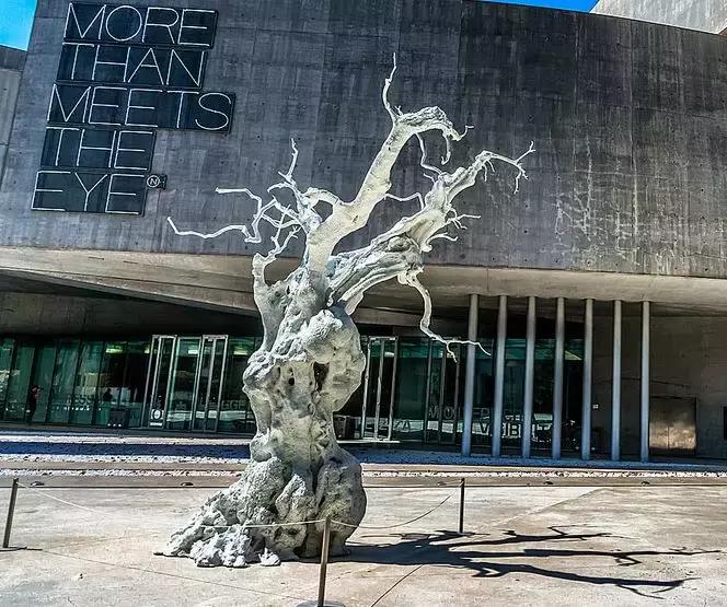 博采众长中西结合,博采众长丰富多彩独具魅力