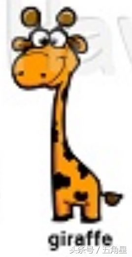 各种动物的英文单词视频,2-8岁儿童学动物英文单词