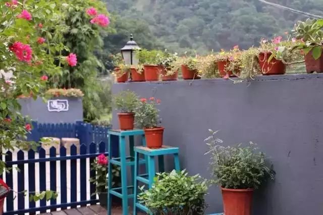 温州亲子民宿最新排行榜,温州民宿50-100一晚