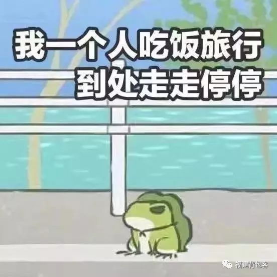 你们养的蛙现在回家了吗,养的蛙都去哪里了