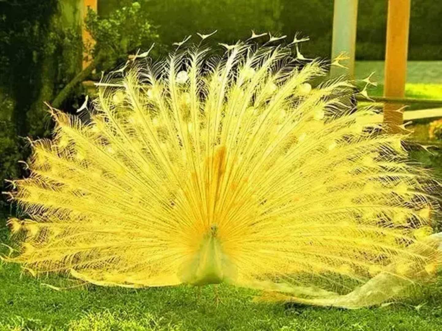 司徒小镇景区栖嬉园,山西司徒小镇栖嬉园