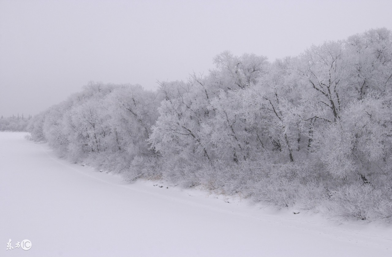 天气降温果树受冻,气温骤降果树如何才能度过严冬