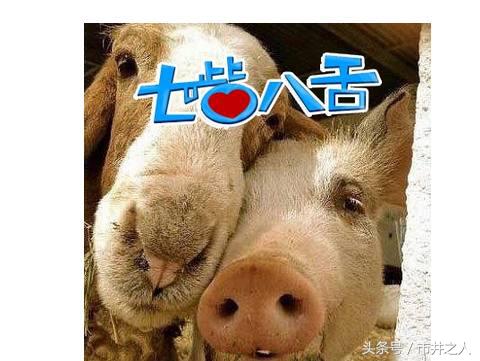 朋友圈里比较low的人,有哪些吃火锅时十分low的行为