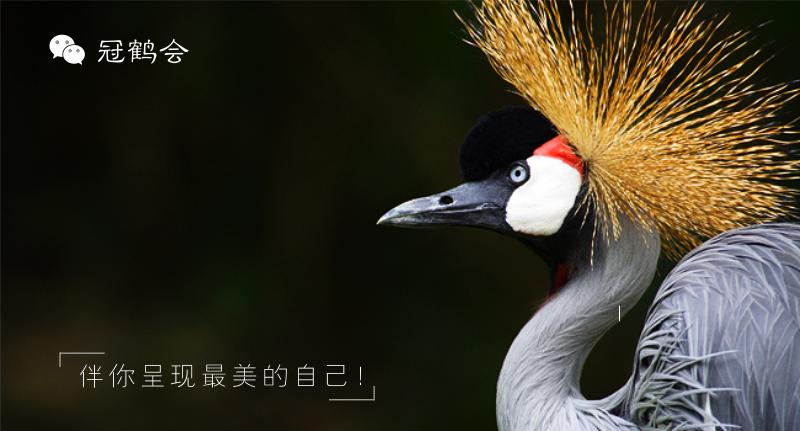 第一次拜年穿什么衣服合适,去别人家拜年该穿什么衣服