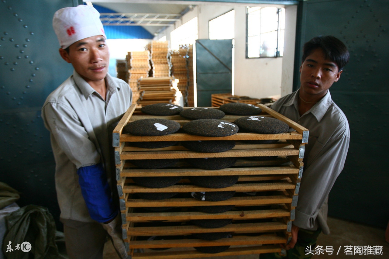 普洱生茶脱皮是什么原因,普洱茶可以诱发哪些病