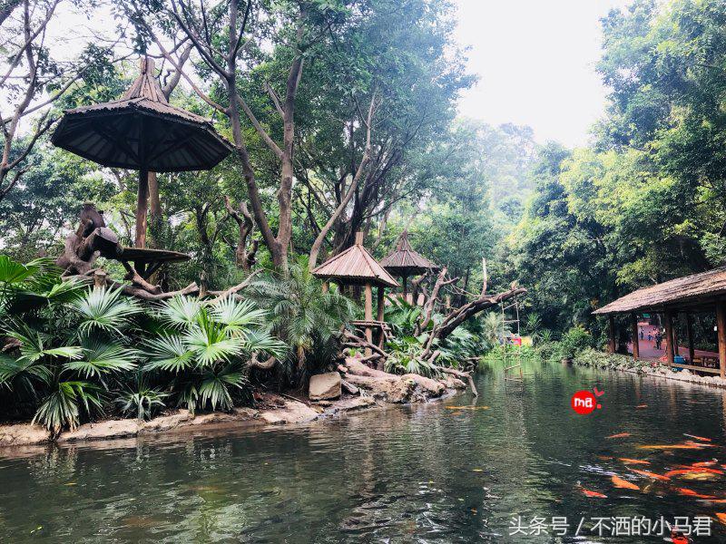 长隆野生动物园3天2晚亲子游,广州长隆野生动物园亲子游攻略