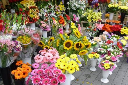 乡镇开花店有前景吗,乡镇开花店挣钱吗