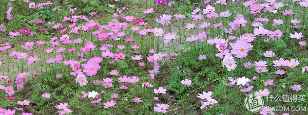 htcone和a9,htconea9和a9w