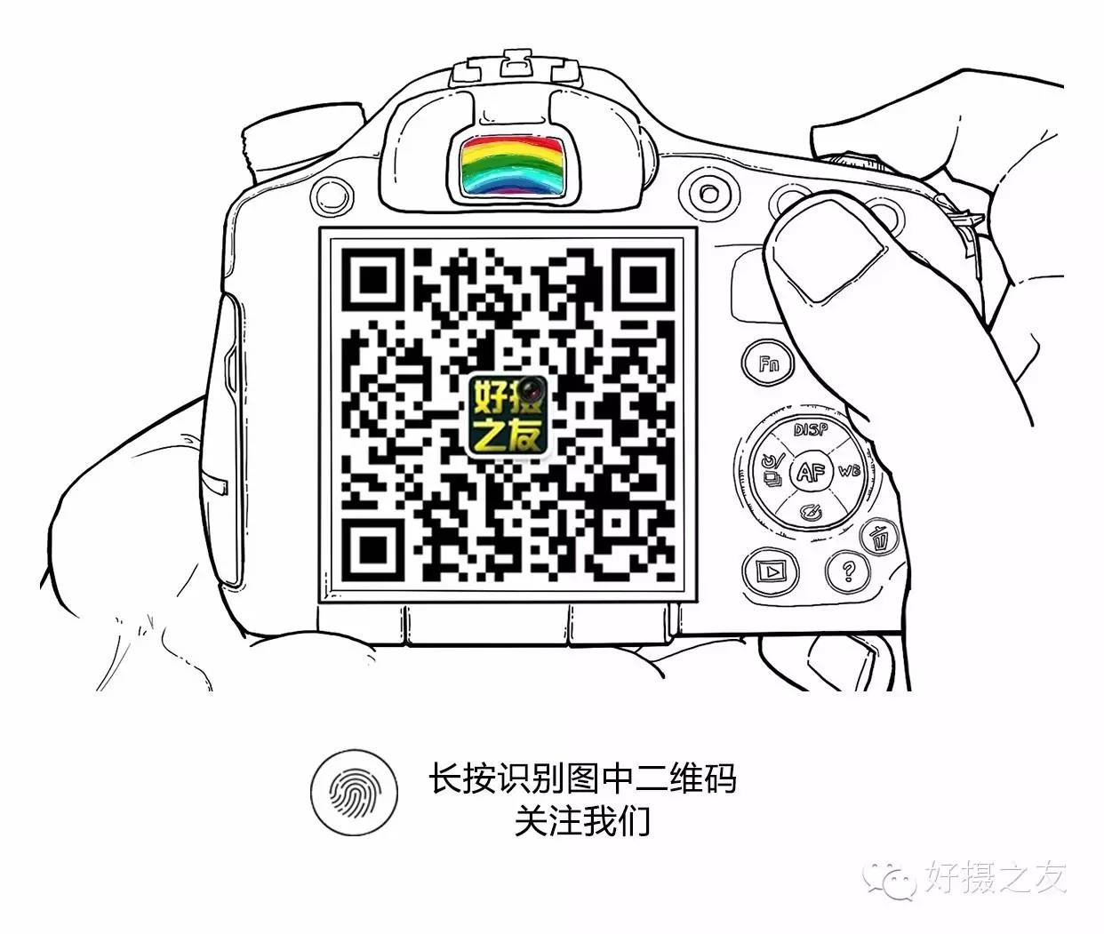 各路大鸟说:秀恩爱,那必须去春天的西湖啊!(拍鸟地图附上)