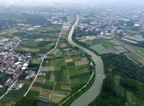 市委书记王蒙徽在厦大说了啥,师生们连连鼓掌