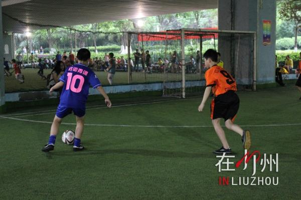 2024柳州小学生足球比赛,柳州小学区长杯足球比赛