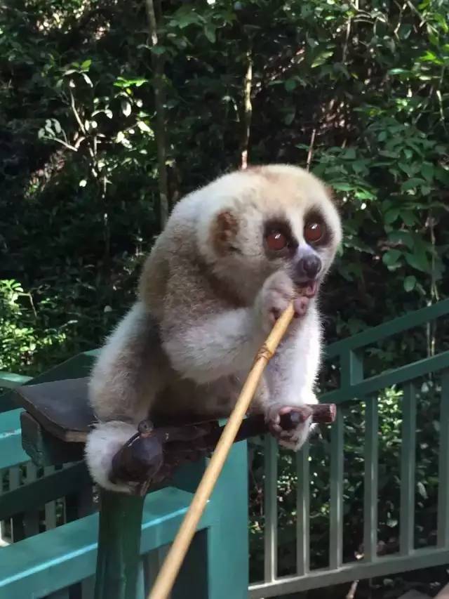 2016，一个妹陀想跟男朋友在湖南长沙干的99件事！