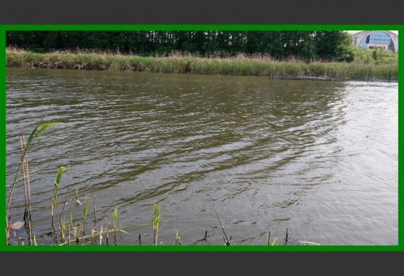 閲庨挀鐑х儰缁濅匠鐮佸ご,鎺ㄨ崘閽撻奔鐑х儰