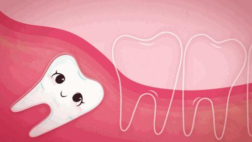 长智齿提高智商吗,智齿多的人智商高吗