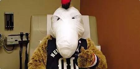 nba吉祥物服装,nba吉祥物叫什么