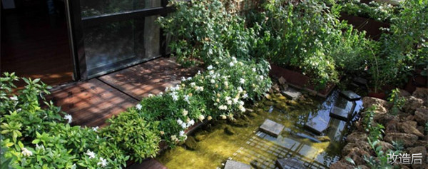 城市双修是什么,城市双修纪实