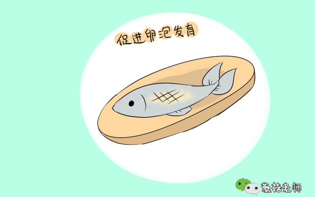 增加精子活力和生精的食物,什么食物有助于精子卵子提升