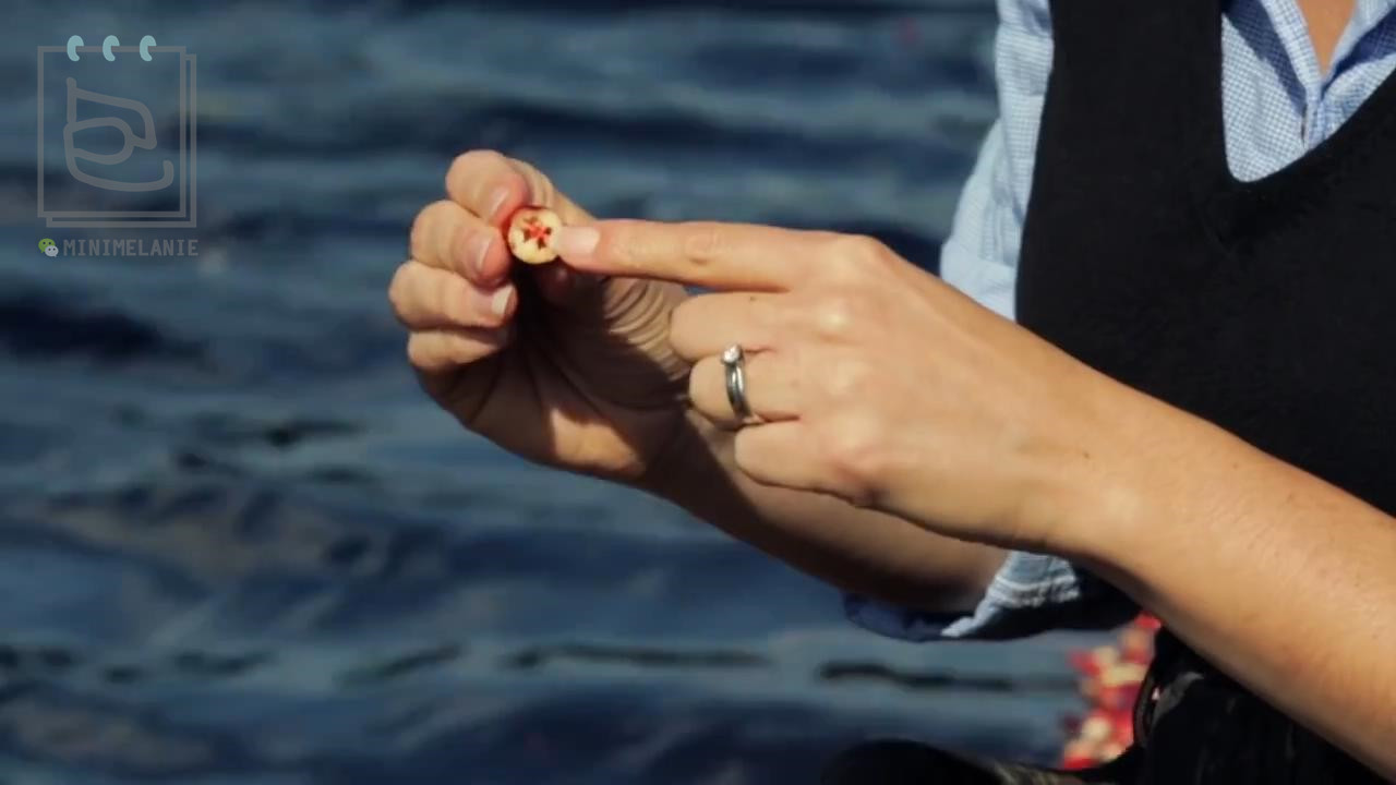 北美红宝石的蔓越莓,北美的红宝石蔓越莓