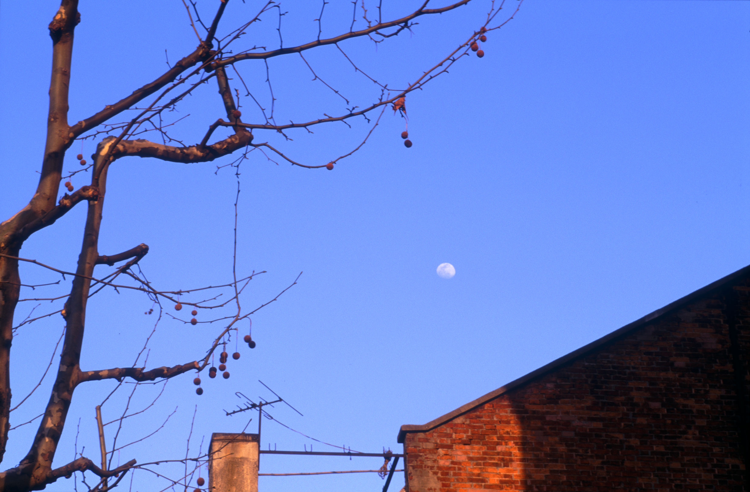 腾龙将要出的新镜头会是什么规格 (腾龙新旧镜头对比)