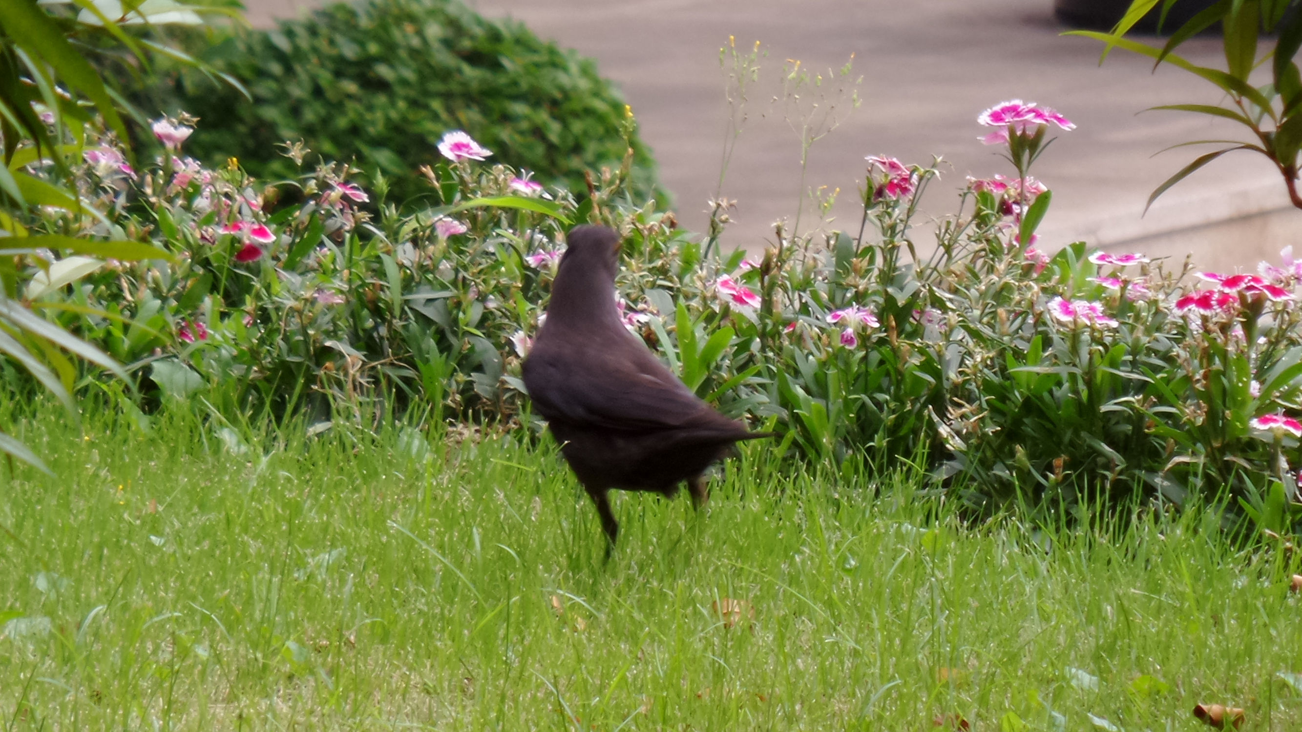 十倍光学变焦公认最好拍照手机,可变焦拍照神器