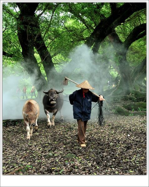 雨中霞浦，遗憾竟然也能如此之美！