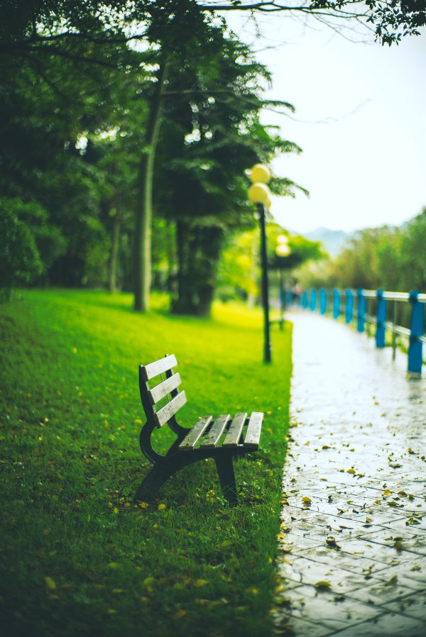 从化温泉之旅,从化文轩苑温泉攻略