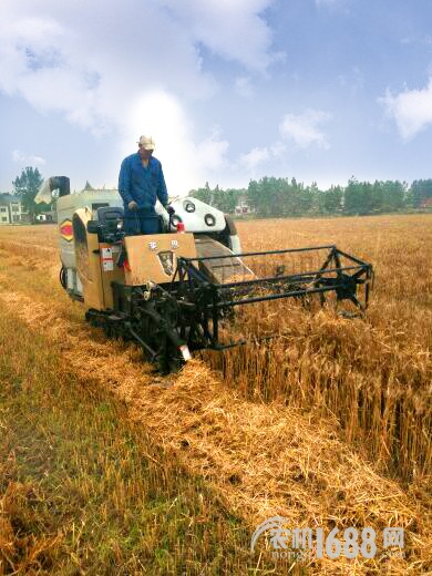 陈师傅打开收割机,农机陈师傅