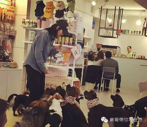 熊哥自驾游路线,熊哥自驾游全攻略